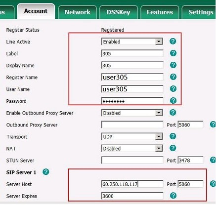 SIP-T19 Setting